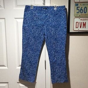 ⭐️ J Crew Stretch Cropped Pants - Size 12
